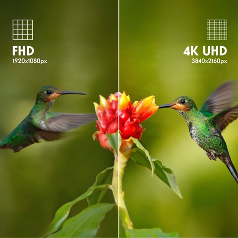 Thomson 43UG4S14W TV 109,2 cm (43") 4K Ultra HD Smart TV Wi-Fi Bianco