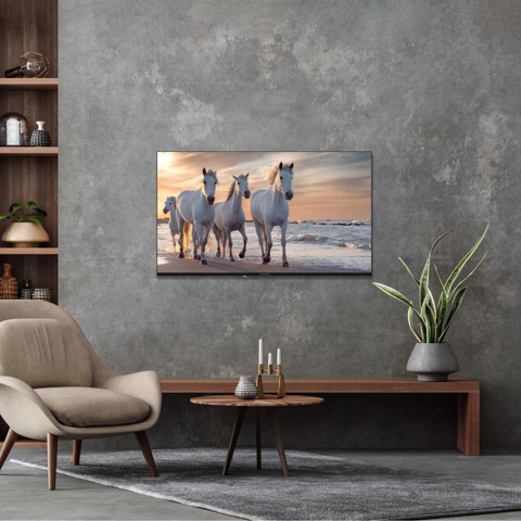 Thomson 50UA5S13 TV 127 cm (50") 4K Ultra HD Smart TV Wi-Fi Nero