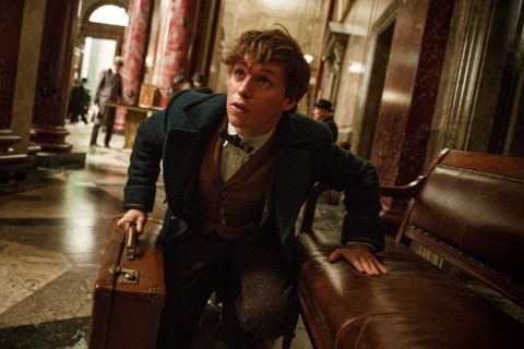 Warner Bros Animali fantastici e dove trovarli