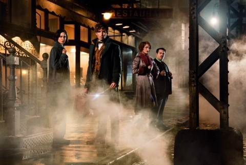 Warner Bros Animali fantastici e dove trovarli
