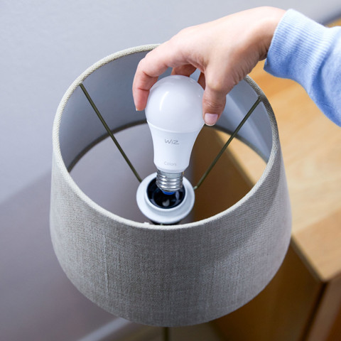 WiZ Lampadina A60 E27 x2