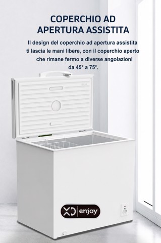 XD Enjoy XDCOMF301D congelatore Congelatore a pozzo Libera installazione 299 L Bianco